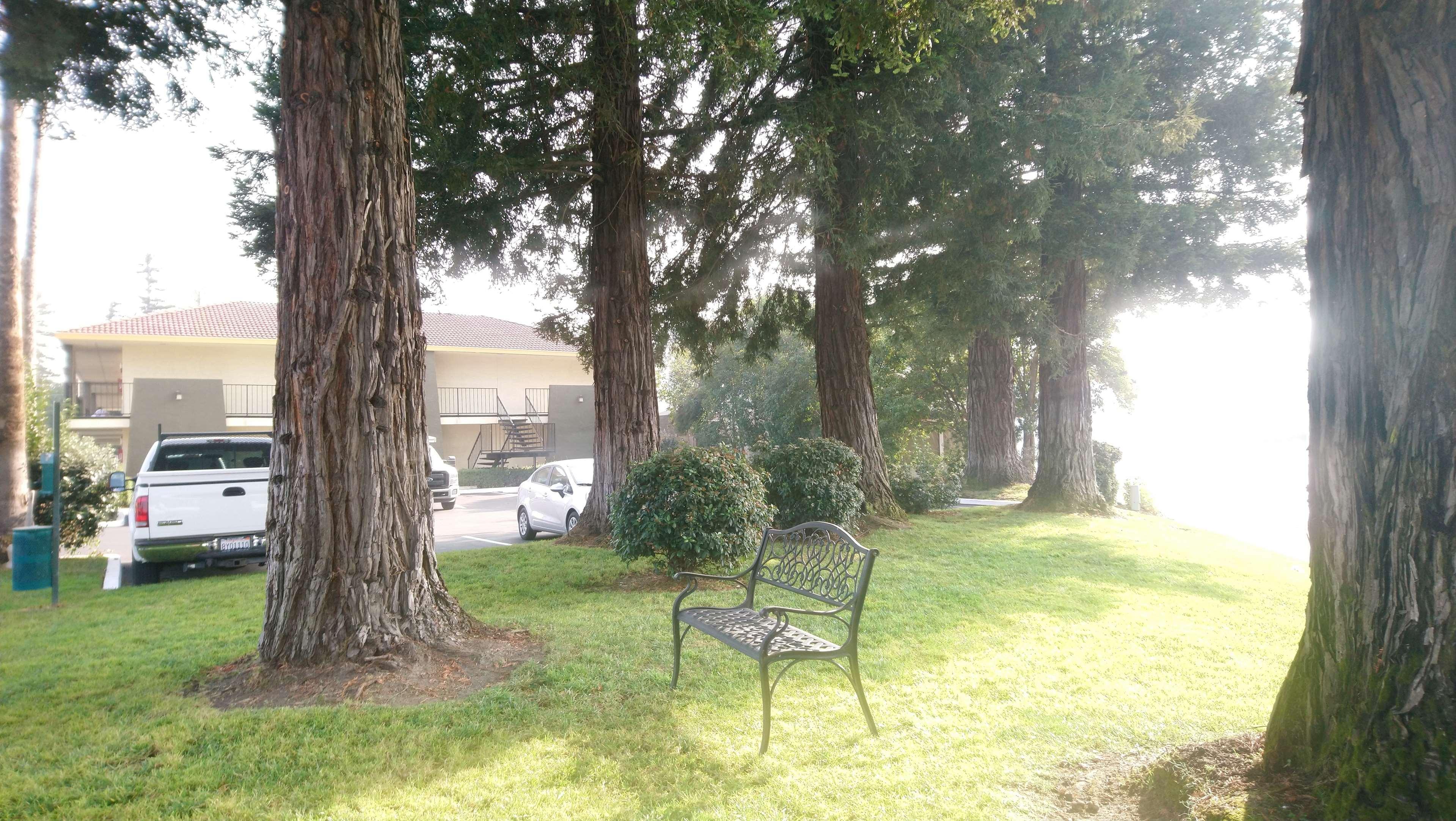 Sonoma Winegrower'S Inn Rohnert Park Exterior photo